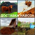 Мы доставим вам навоз, перегной, чернозём. фотография