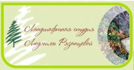 Широкий спектр услуг по ландшафтному дизайну (8 фотографий)